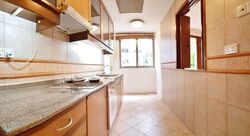 Cavenagh Lodge (D9), Apartment #525328321